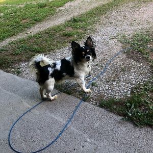 Meet your Posher, Jeffrey